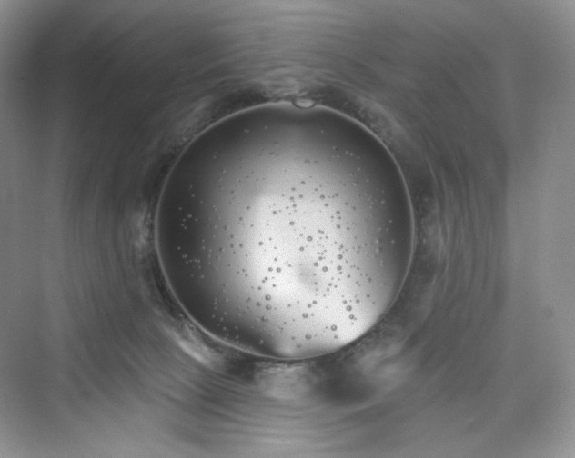 X0000076060081200609291236