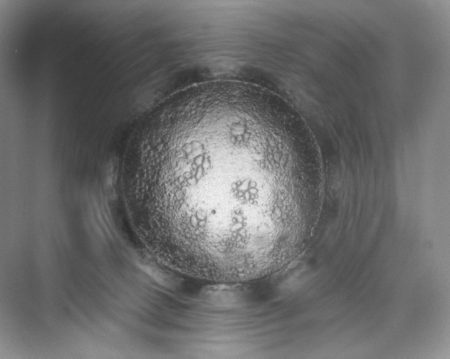 X0000076060082200609291236