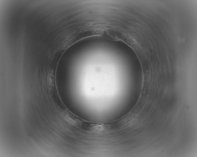 X0000076060083200609291236