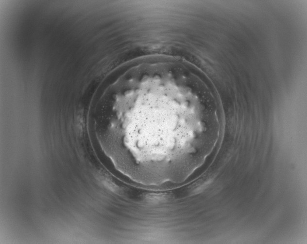 X0000076060085200609291236