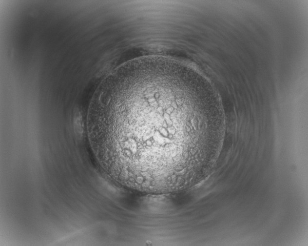 X0000076060086200609291236