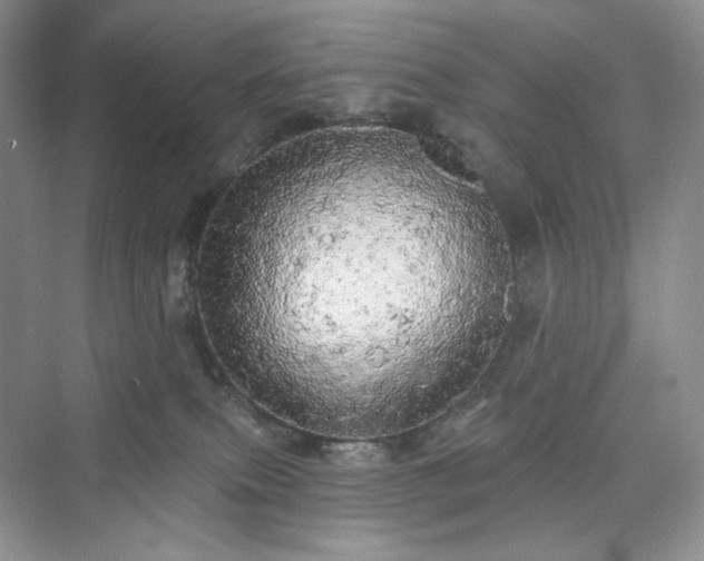 X0000076060087200609291236