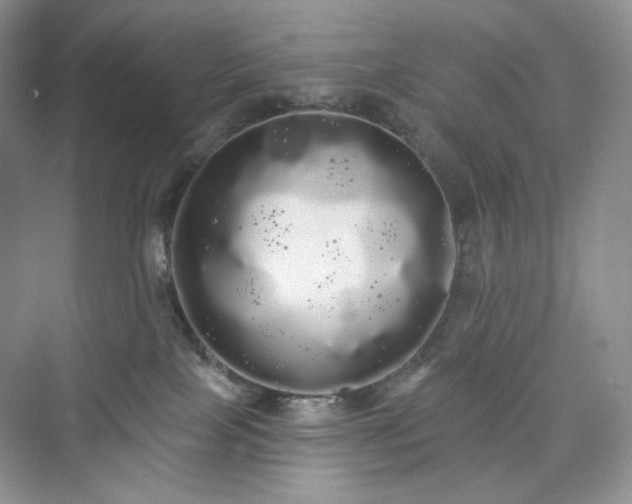 X0000076060089200609291236