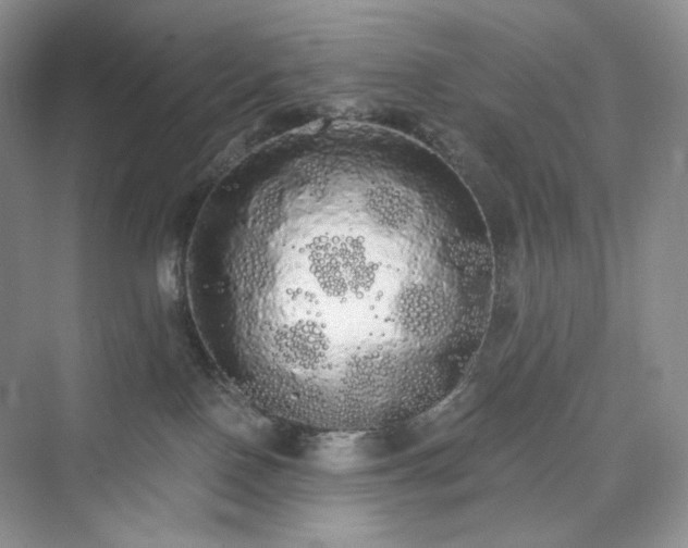 X0000076060090200609291236