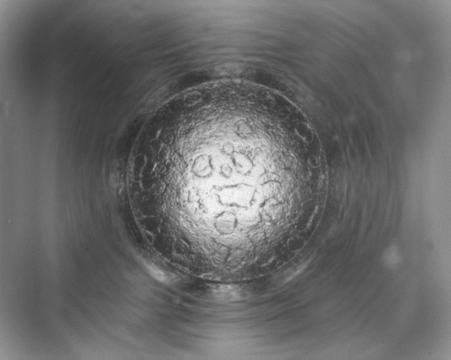 X0000076060091200609291236