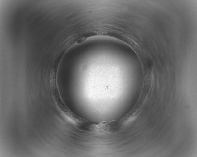 X0000076060092200609291236