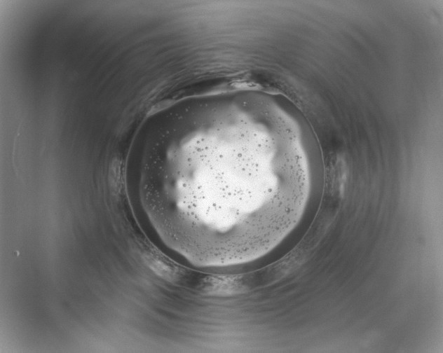 X0000076060093200609291236