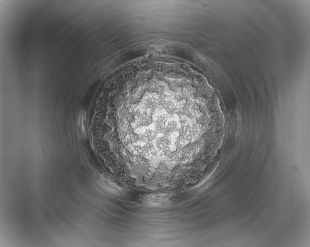 X0000076060094200609291236