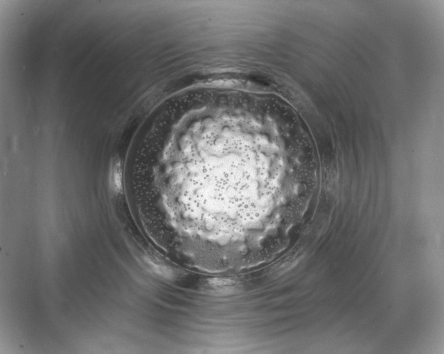 X0000076060095200609291236