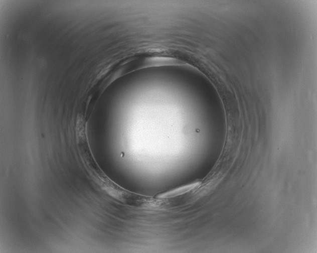 X0000076060096200609291236