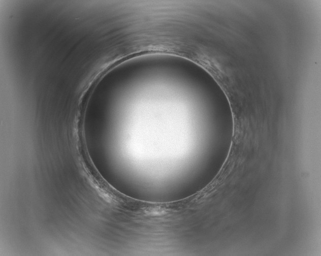 X0000076060098200609291235