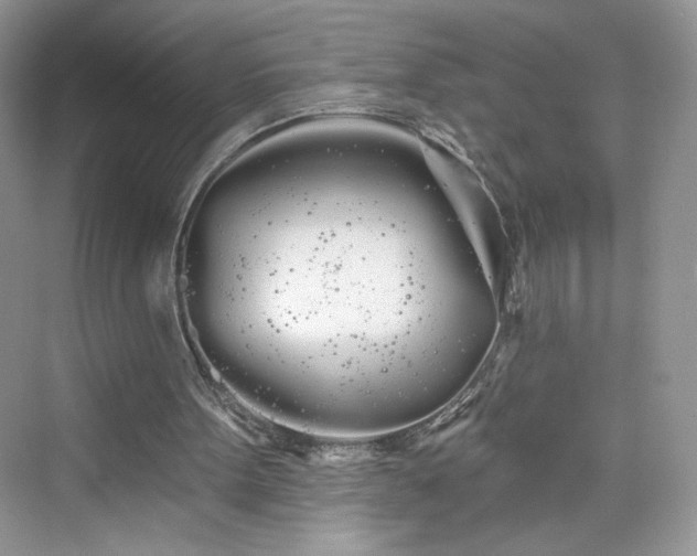 X0000076060099200609291235