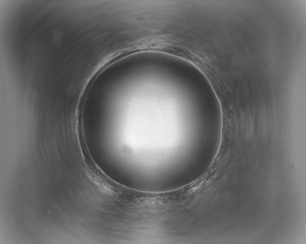 X0000076060100200609291235