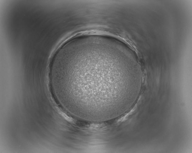 X0000076060101200609291235