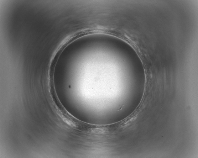 X0000076060102200609291235