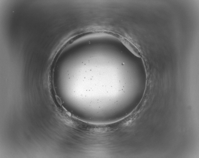 X0000076060103200609291235