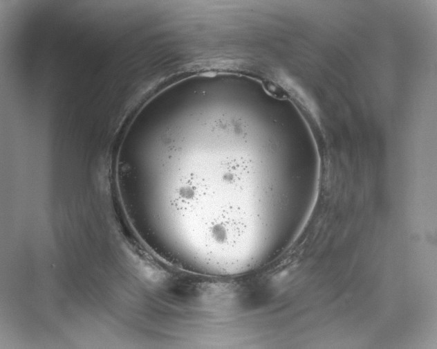 X0000076060107200609291235