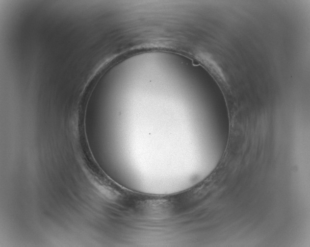 X0000076060108200609291235