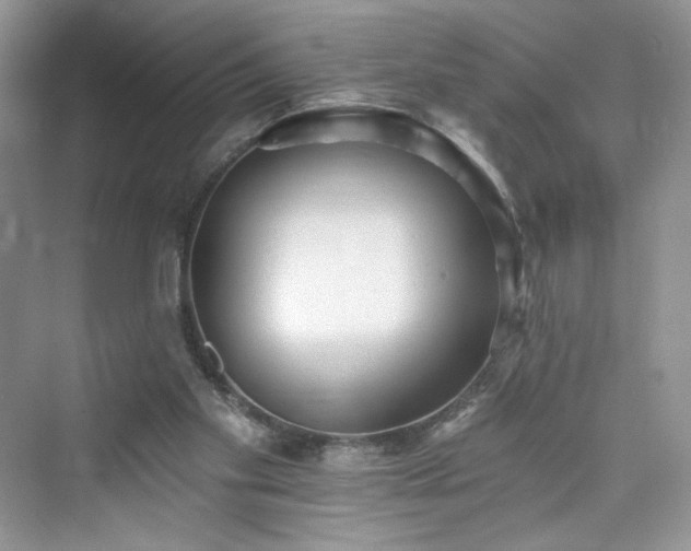 X0000076060109200609291235