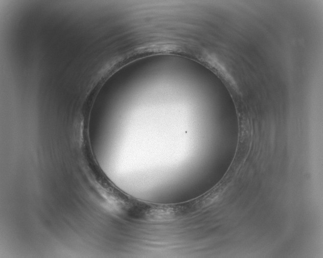 X0000076060110200609291235