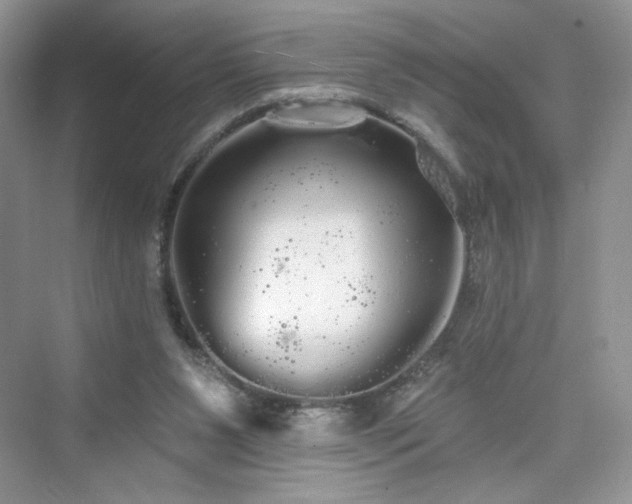 X0000076060111200609291235