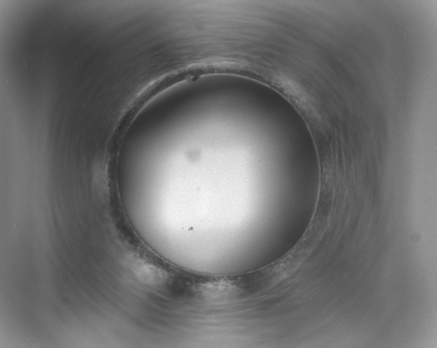 X0000076060112200609291235