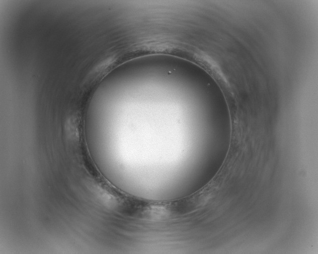 X0000076060114200609291235