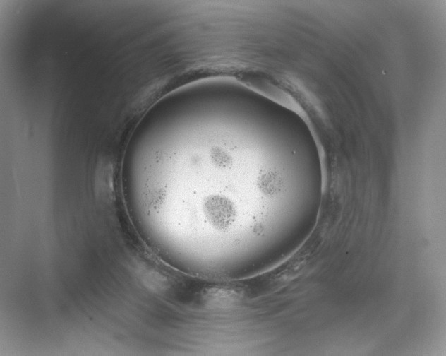 X0000076060115200609291235