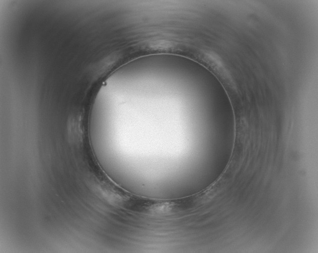 X0000076060116200609291235