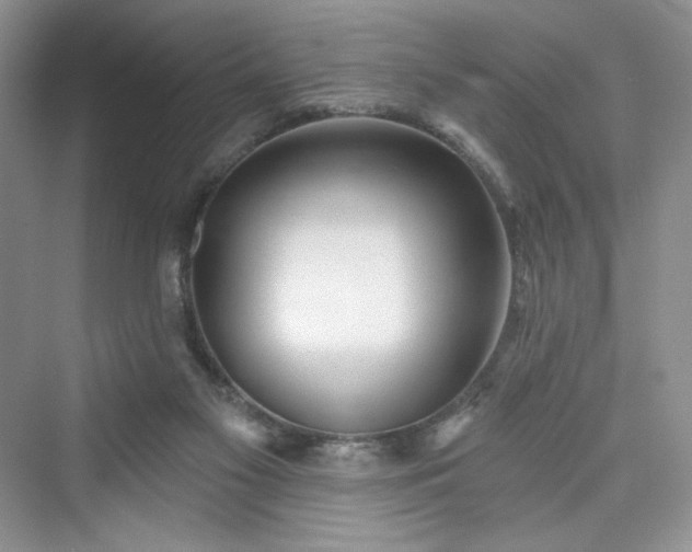 X0000076060117200609291235