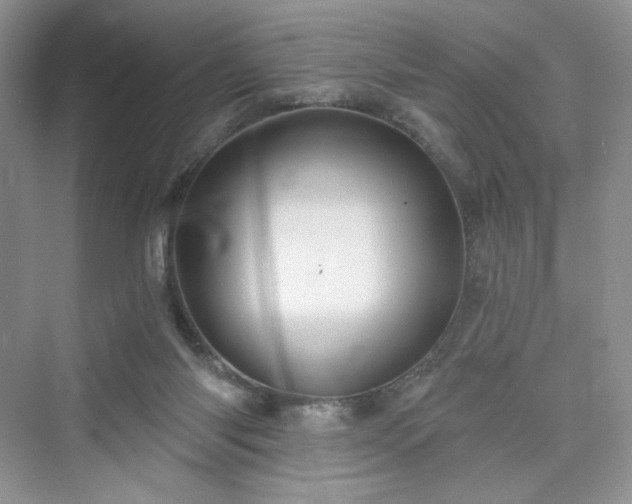 X0000076060118200609291235