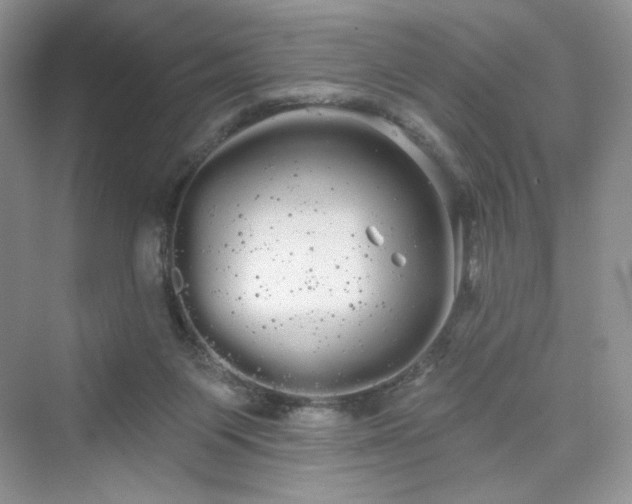 X0000076060119200609291235