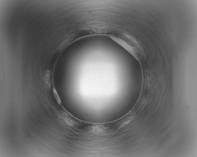 X0000076060121200609291235