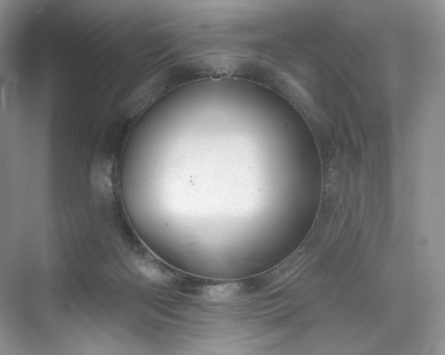 X0000076060122200609291235