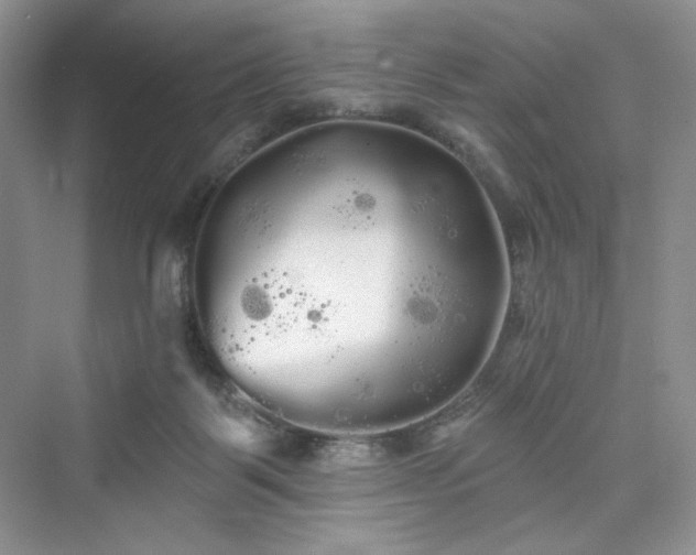 X0000076060123200609291235