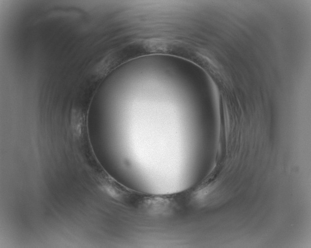 X0000076060125200609291235