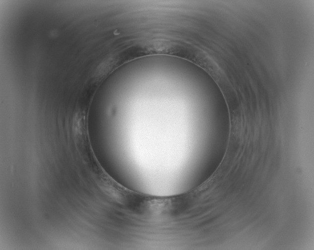 X0000076060126200609291235