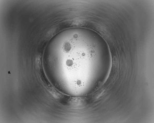 X0000076060127200609291235