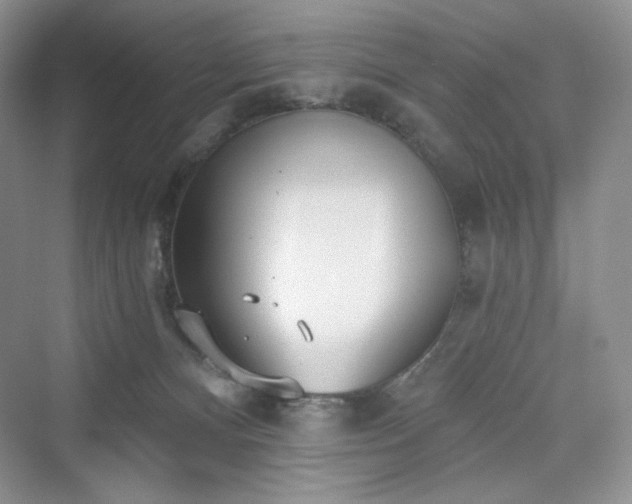 X0000076060128200609291235