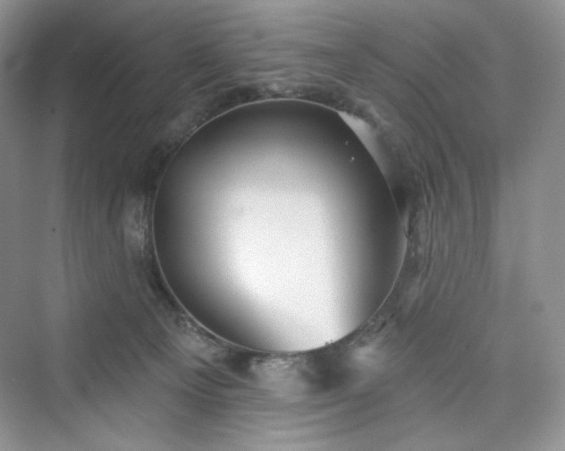 X0000076060129200609291235