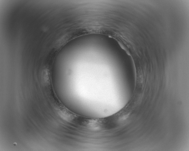 X0000076060130200609291235