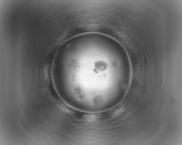 X0000076060131200609291235