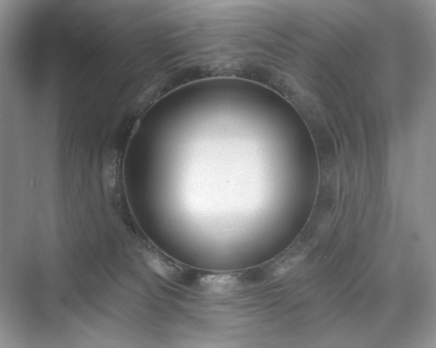 X0000076060133200609291235