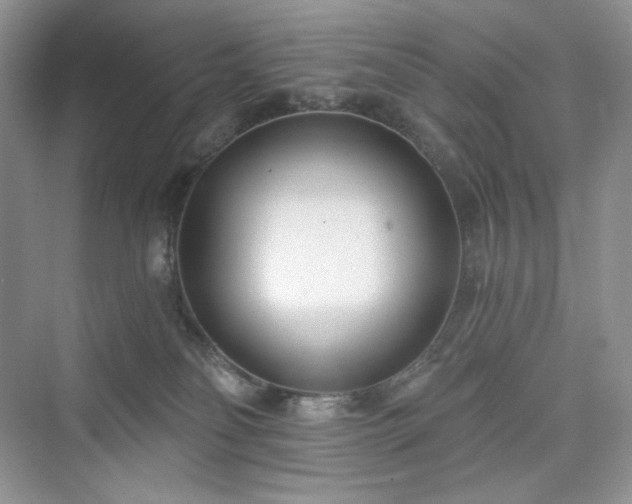 X0000076060134200609291235