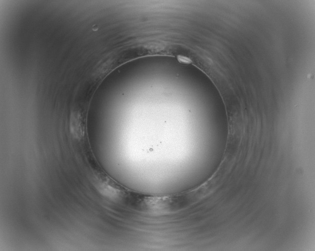 X0000076060136200609291235