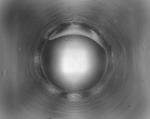 X0000076060137200609291235