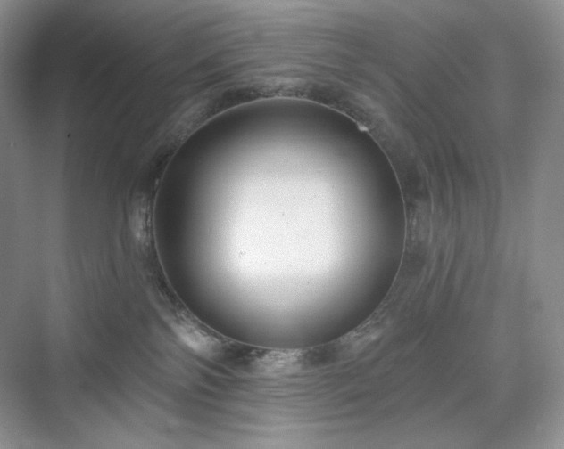 X0000076060138200609291235