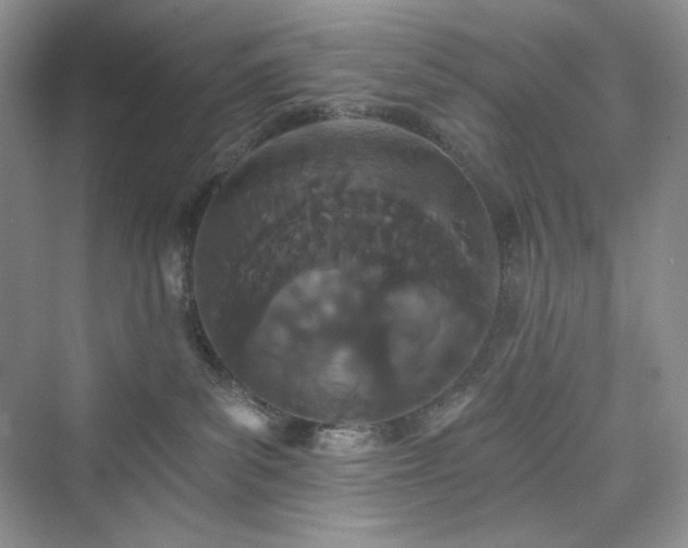 X0000076060139200609291235