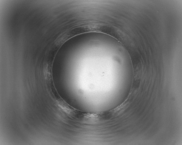 X0000076060140200609291235