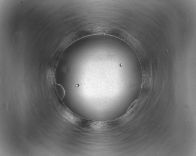 X0000076060142200609291235